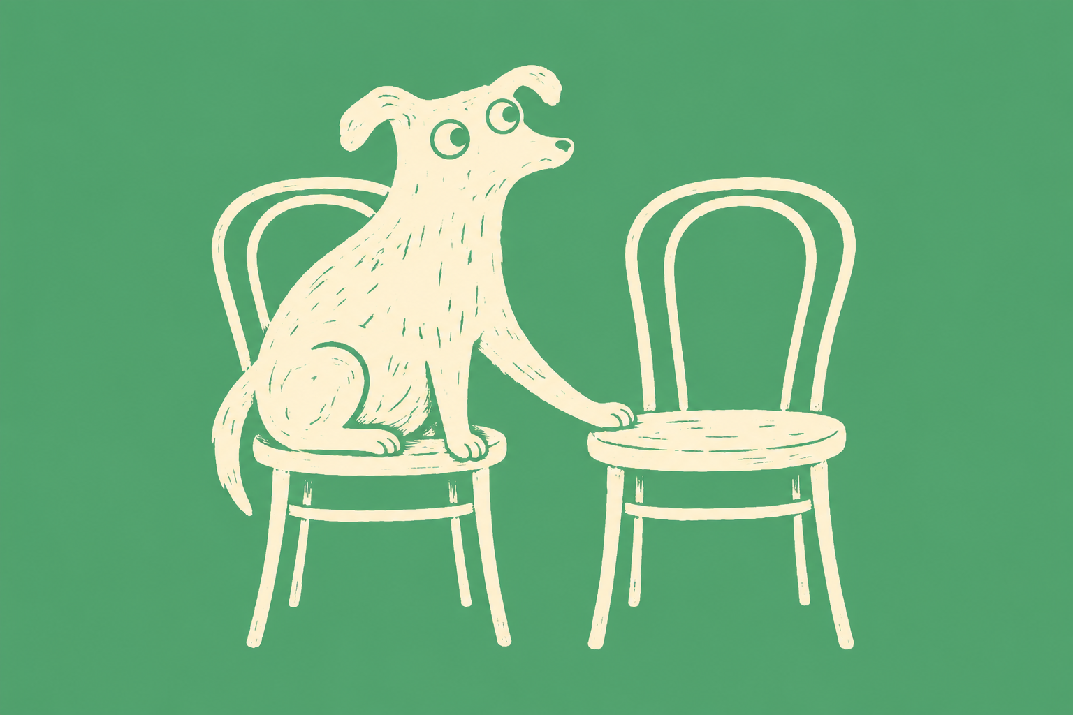 An older dog saving a cafe chair